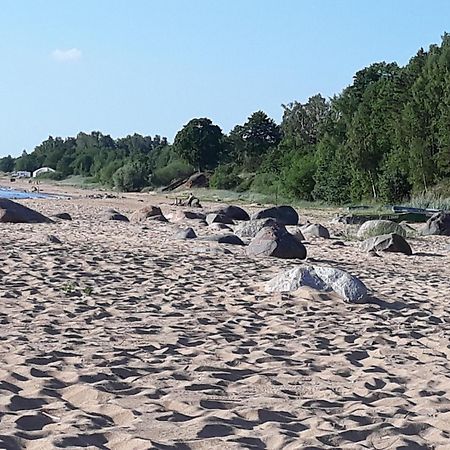 Viesu Nams Juras Bura Hotel Tūja Екстериор снимка